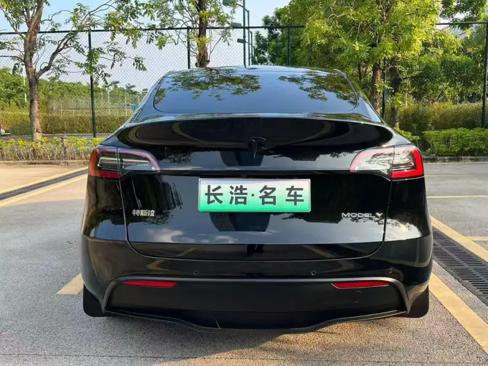 Model Y 2021 Model Standard Battery Life Rear-wheel drive version – фото 5