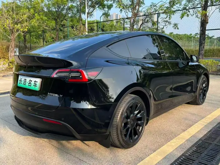 Model Y 2021 Model Standard Battery Life Rear-wheel drive version – фото 6