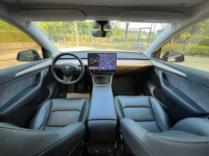 Model Y 2021 Model Standard Battery Life Rear-wheel drive version – фото 7