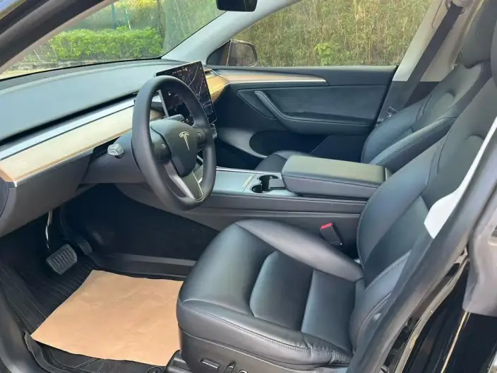 Model Y 2021 Model Standard Battery Life Rear-wheel drive version – фото 8