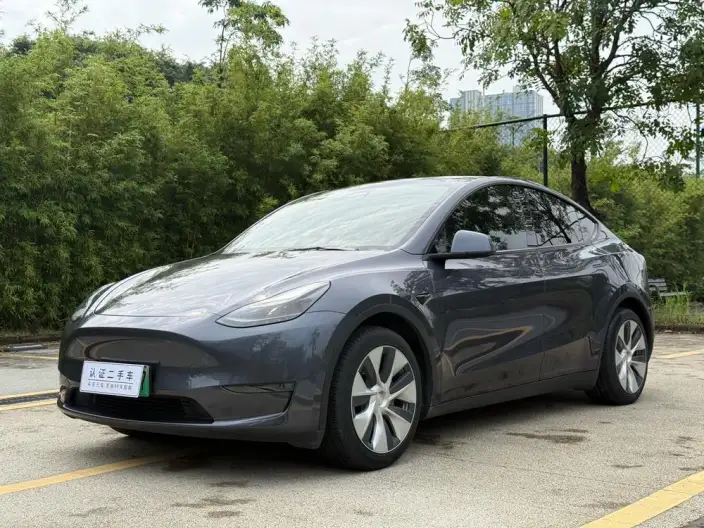 Model Y 2021 Model Standard Battery Life Rear-wheel drive version – фото 1