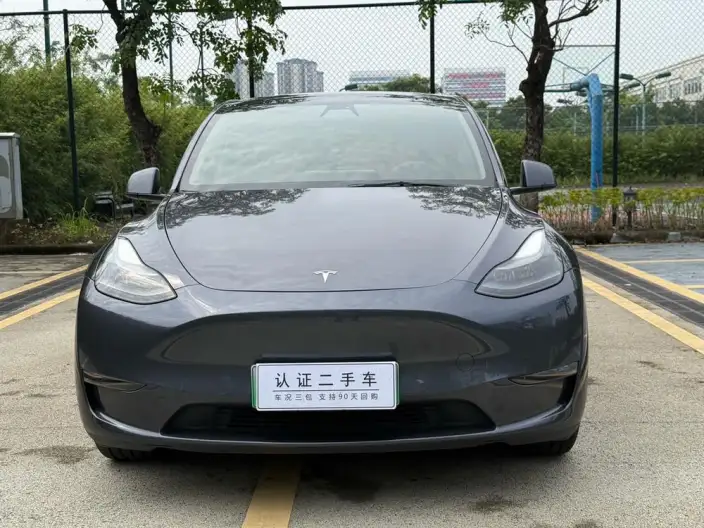 Model Y 2021 Model Standard Battery Life Rear-wheel drive version – фото 2