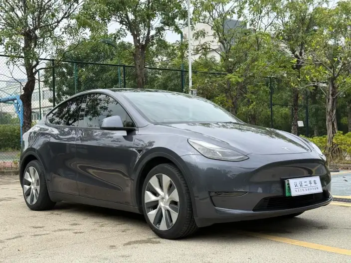 Model Y 2021 Model Standard Battery Life Rear-wheel drive version – фото 3