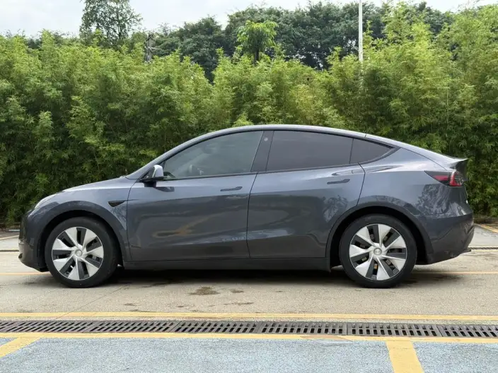 Model Y 2021 Model Standard Battery Life Rear-wheel drive version – фото 4