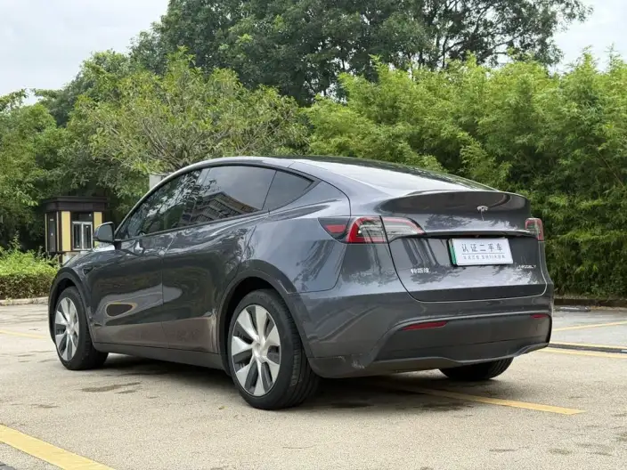 Model Y 2021 Model Standard Battery Life Rear-wheel drive version – фото 5