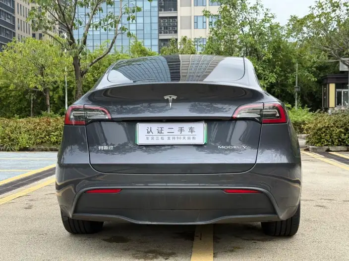Model Y 2021 Model Standard Battery Life Rear-wheel drive version – фото 6
