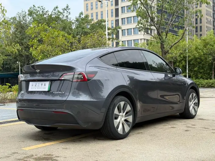 Model Y 2021 Model Standard Battery Life Rear-wheel drive version – фото 7
