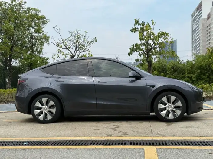 Model Y 2021 Model Standard Battery Life Rear-wheel drive version – фото 8