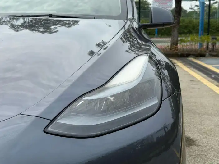 Model Y 2021 Model Standard Battery Life Rear-wheel drive version – фото 9
