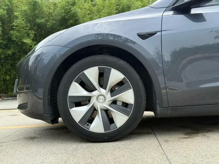 Model Y 2021 Model Standard Battery Life Rear-wheel drive version – фото 11