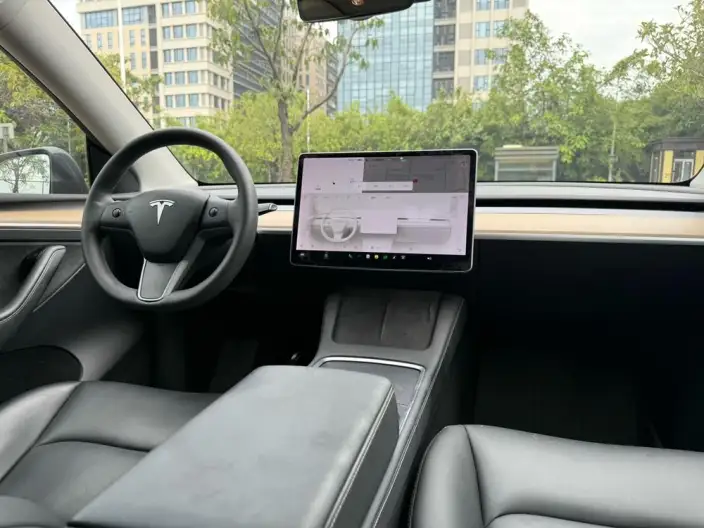 Model Y 2021 Model Standard Battery Life Rear-wheel drive version – фото 12