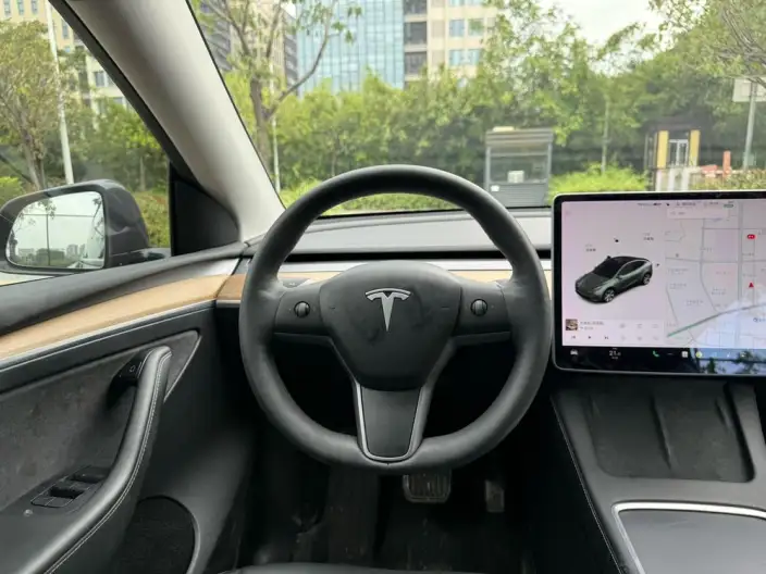 Model Y 2021 Model Standard Battery Life Rear-wheel drive version – фото 13