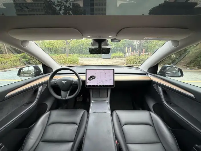 Model Y 2021 Model Standard Battery Life Rear-wheel drive version – фото 14