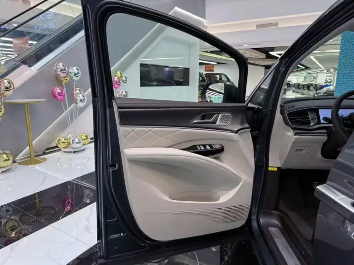 DENZA D9 DM 2024 Model 980 4WD Flagship Model – фото 18
