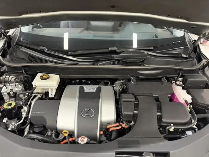 Lexus RX 2020 Model 450h 4WD Elegant Edition China VI – фото 6
