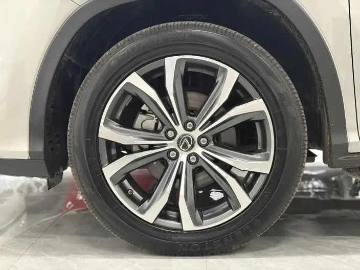 Lexus RX 2020 Model 450h 4WD Elegant Edition China VI – фото 7