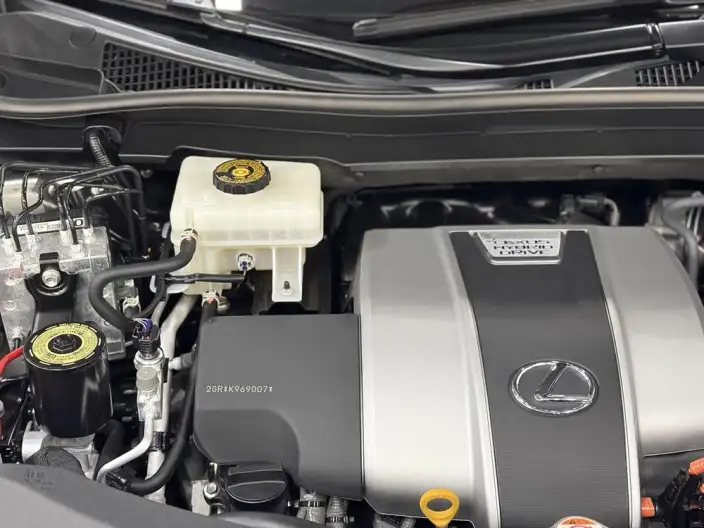 Lexus RX 2020 Model 450h 4WD Elegant Edition China VI – фото 10