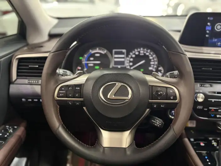 Lexus RX 2020 Model 450h 4WD Elegant Edition China VI – фото 12