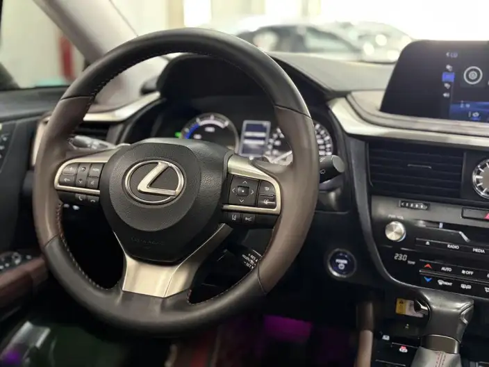 Lexus RX 2020 Model 450h 4WD Elegant Edition China VI – фото 14