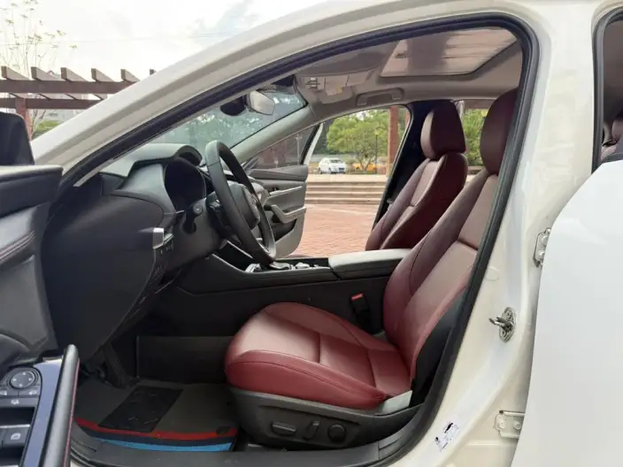 Mazda3 Axela 2023 Model 2.0L Automatic Zhi Zhen Edition – фото 23