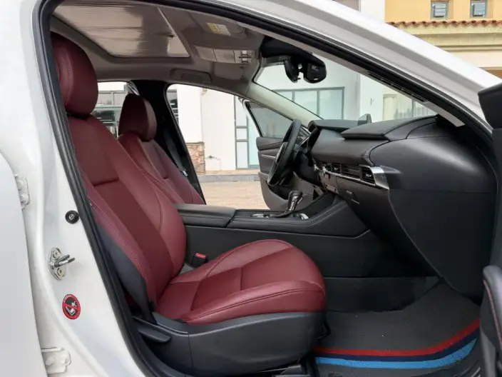 Mazda3 Axela 2023 Model 2.0L Automatic Zhi Zhen Edition – фото 24