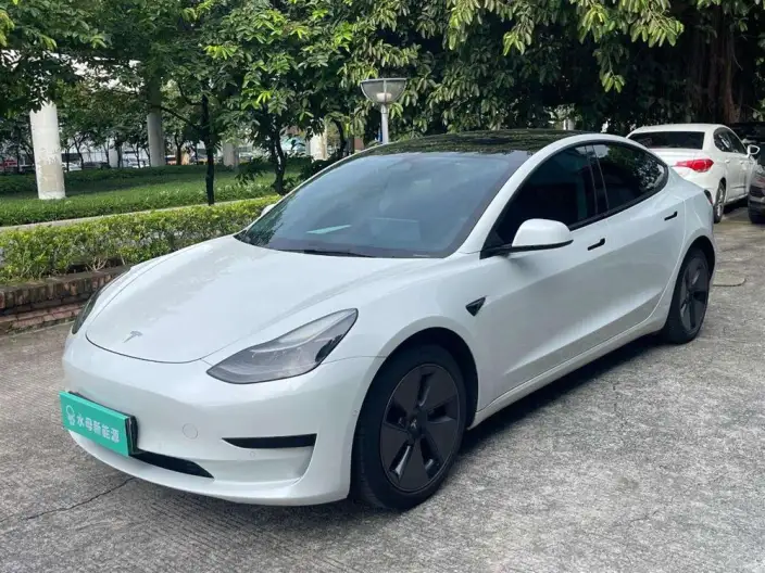 Model 3 2022 Model Rear-wheel drive version – фото 1