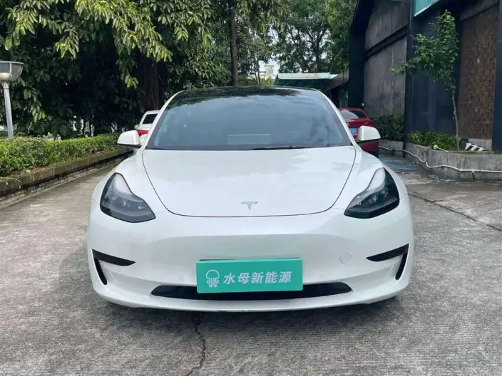 Model 3 2022 Model Rear-wheel drive version – фото 2