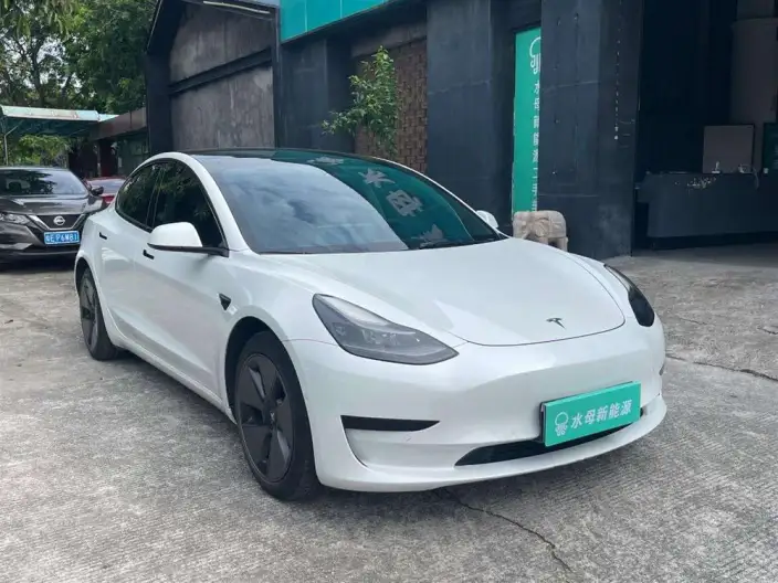 Model 3 2022 Model Rear-wheel drive version – фото 3