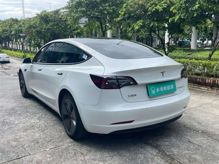 Model 3 2022 Model Rear-wheel drive version – фото 5