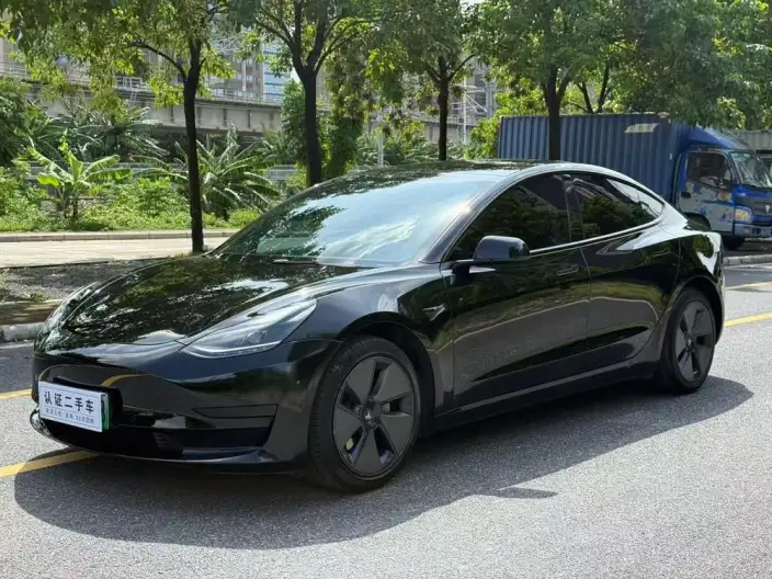 Model 3 2022 Model Rear-wheel drive version – фото 1