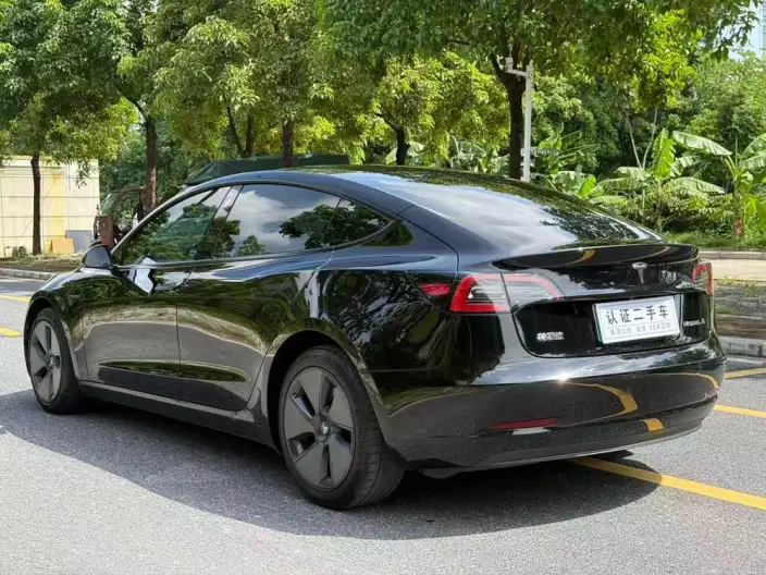 Model 3 2022 Model Rear-wheel drive version – фото 4