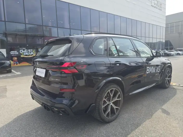 BMW X5 2025 Model xDrive30Li Exclusive Model M Sports Night Set – фото 7