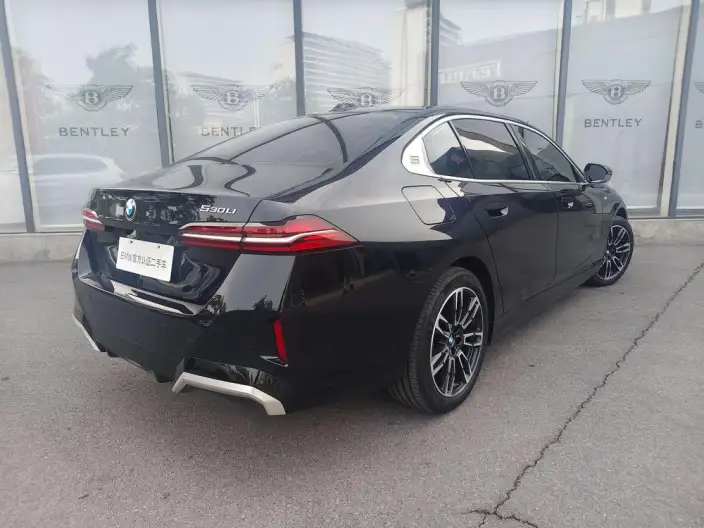 BMW 5 Series 2025 Model 530Li Leading Model M Sports Set – фото 5