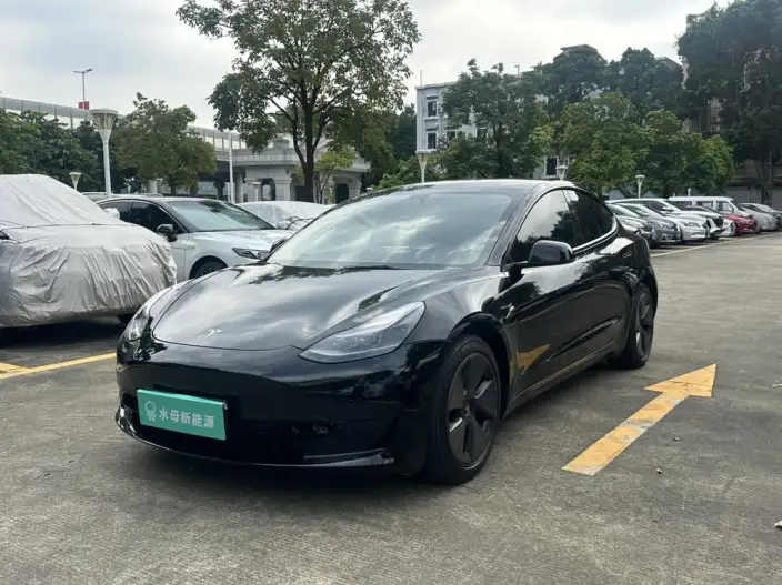 Model 3 2022 Model Rear-wheel drive version – фото 1