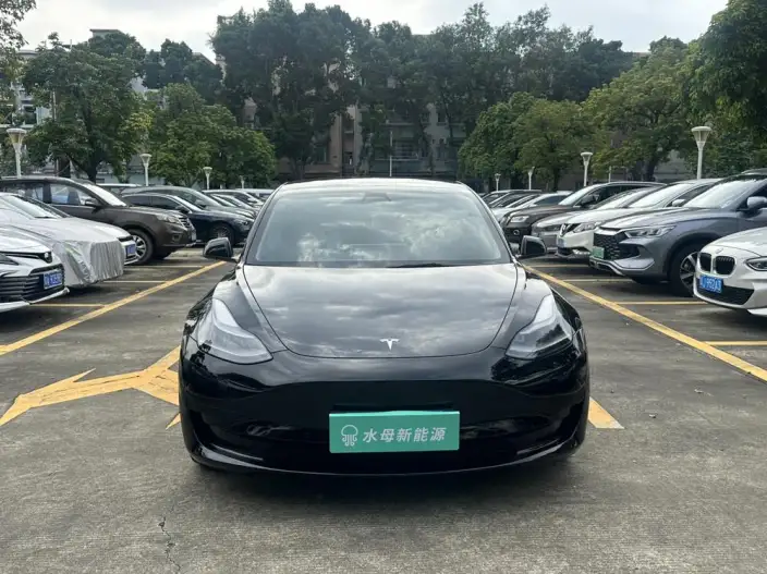 Model 3 2022 Model Rear-wheel drive version – фото 2