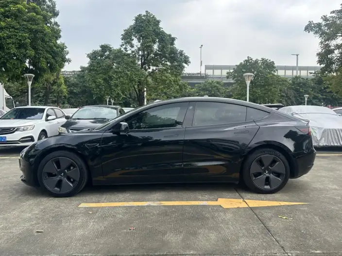 Model 3 2022 Model Rear-wheel drive version – фото 4