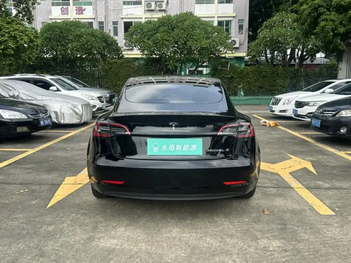 Model 3 2022 Model Rear-wheel drive version – фото 6