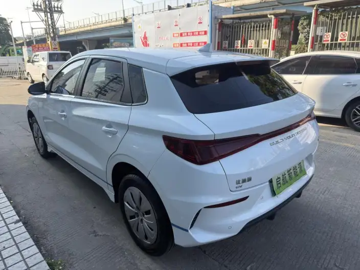 BYD E2 2021 Model Luxury Model – фото 4