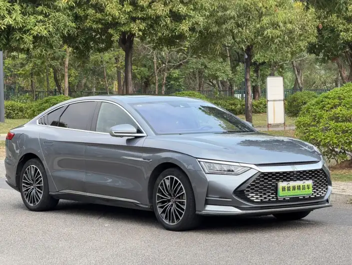 BYD Han DM 2020 Model DM 4WD performance version Noble Model – фото 3