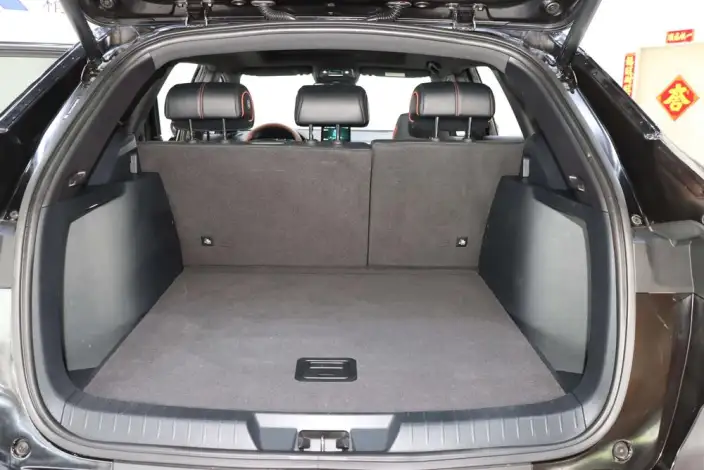 BYD Song PLUS 2020 Model 1.5T Automatic Flagship PLUS – фото 19