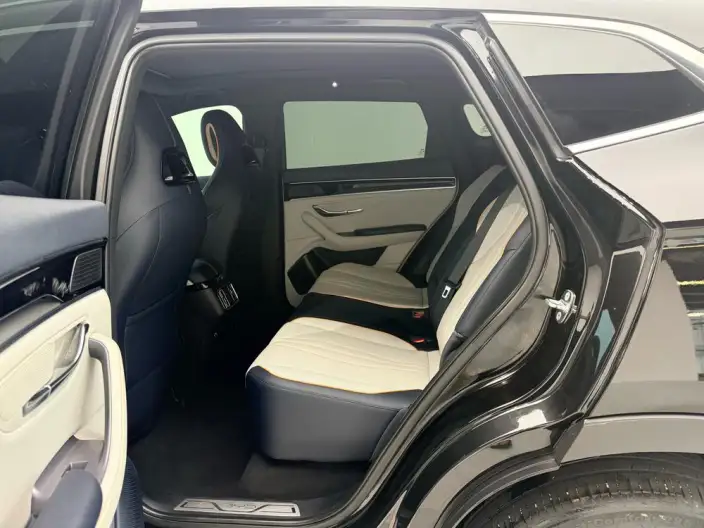 BYD Song PLUS EV 2023 Model Champion Edition 520KM Flagship Model – фото 18