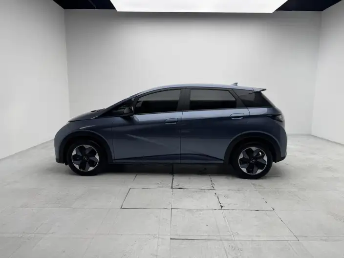 BYD Dolphin 2025 Model 420KM Free Edition – фото 4