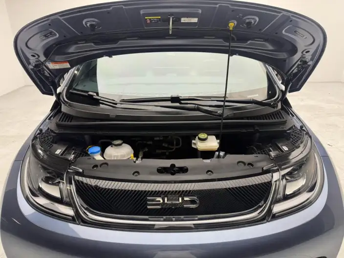 BYD Dolphin 2025 Model 420KM Free Edition – фото 10