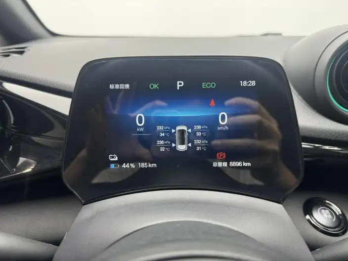BYD Dolphin 2025 Model 420KM Free Edition – фото 15