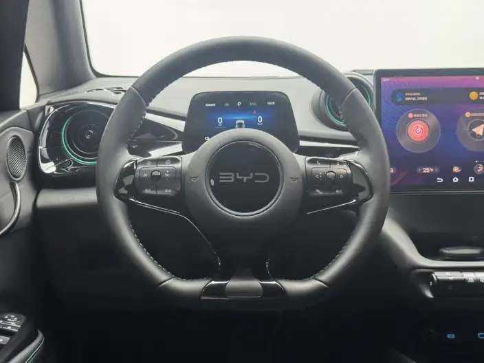 BYD Dolphin 2025 Model 420KM Free Edition – фото 16