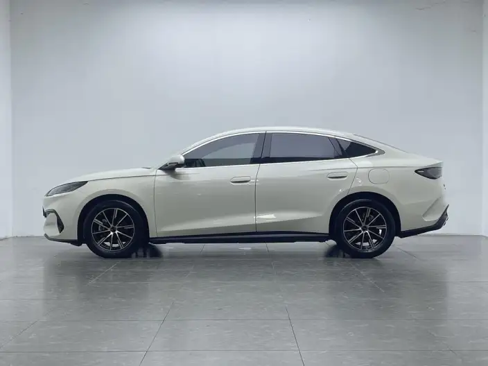 BYD Seal 06 DM 2024 Model DM-i 80KM Noble Model – фото 4