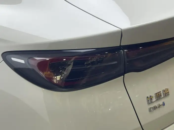 BYD Seal 06 DM 2024 Model DM-i 80KM Noble Model – фото 13