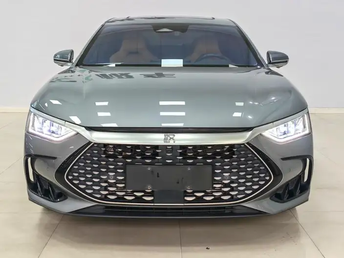 BYD Han DM 2022 Model DM-i 121KM Exclusive Model – фото 2