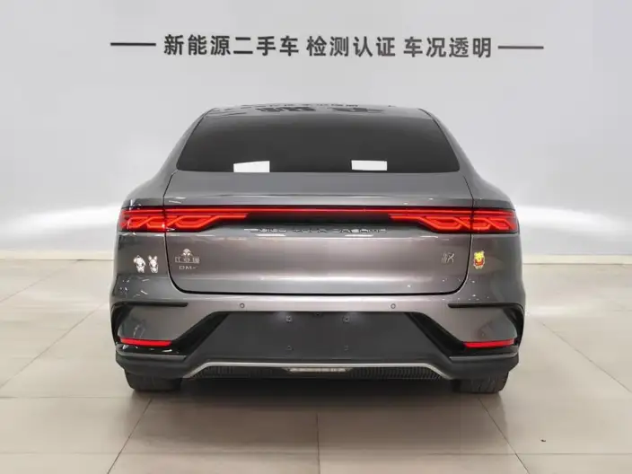 BYD Han DM 2022 Model DM-i 121KM Exclusive Model – фото 5