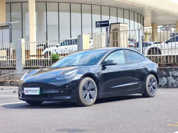 Model 3 2022 Model Rear-wheel drive version – фото 1